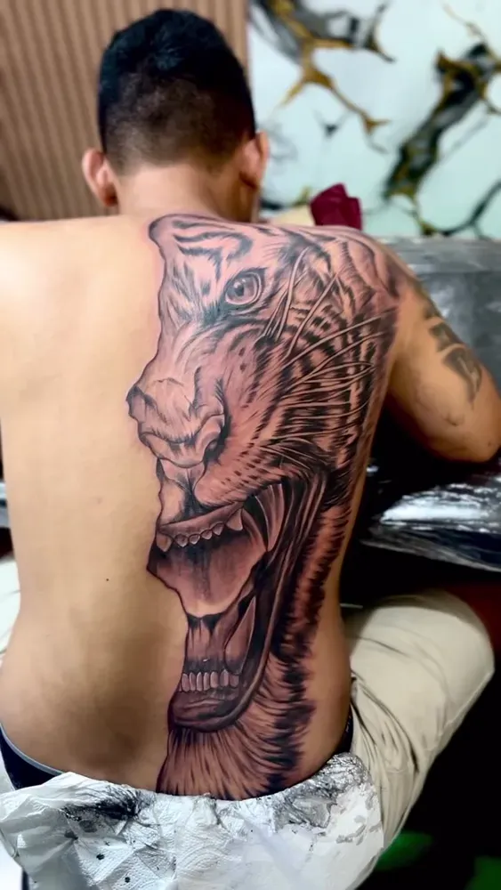 Large roaring tiger in black and grey realism across a shoulder blade